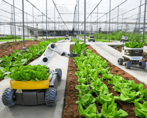implementasi AI Robot di pertanian atau industri agrikultur